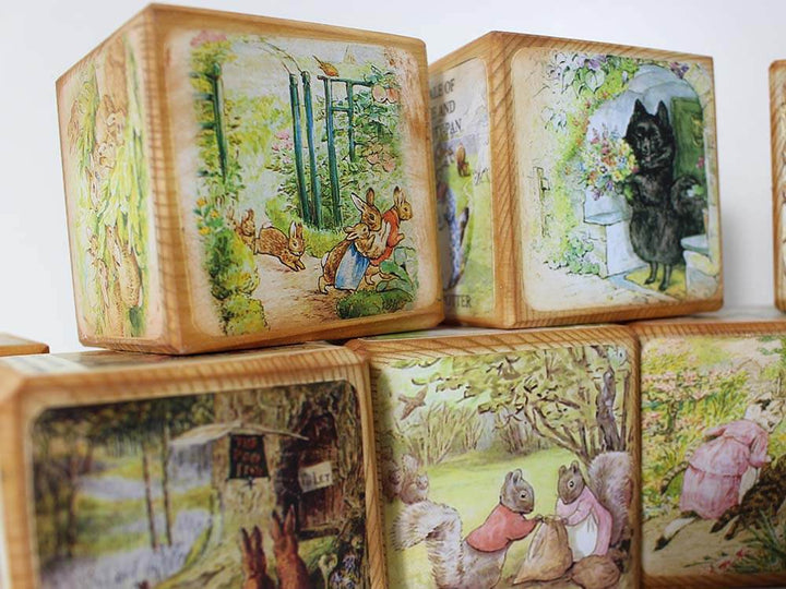 Beatrix Potter 23 Story Blocks