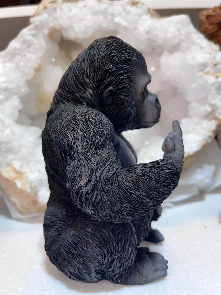 Cheeky Chimp, Chimpanzee, Black funny Chimpanzee, Cheeky Gorilla