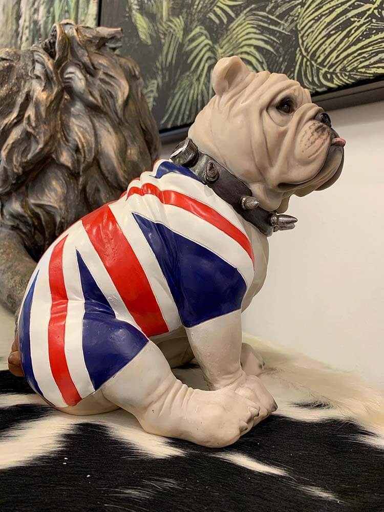 Large sitting English bulldog in Union Flag coat