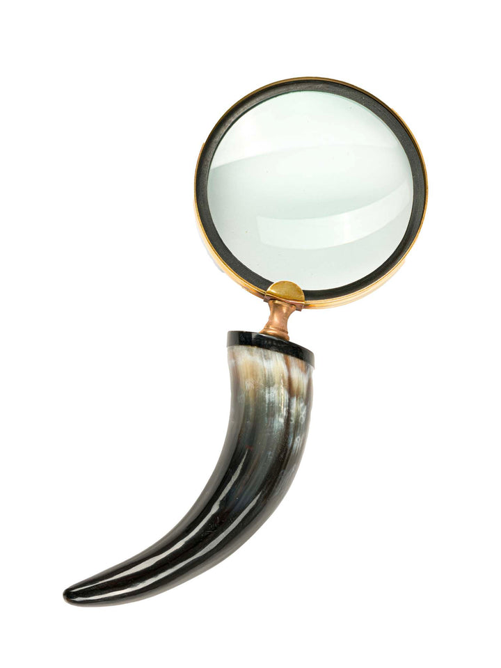 Decorative magnifying glass - horn handle