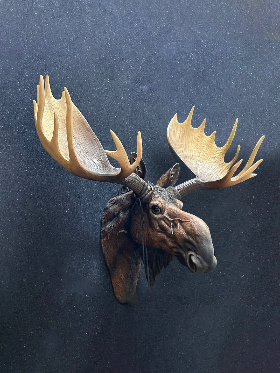 Large Moose Wall Head