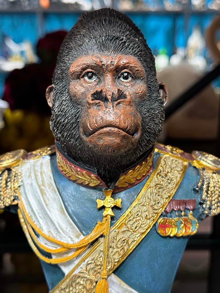 Gentlemen Gorilla in army uniforms blue and gold