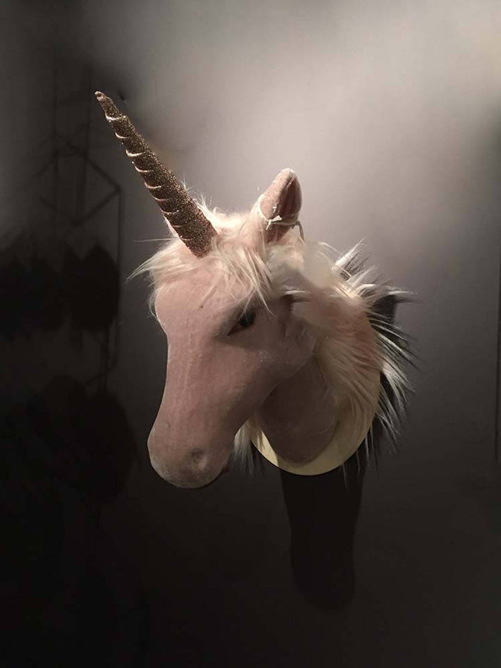 Perfect for Baby Girl- unicorn head