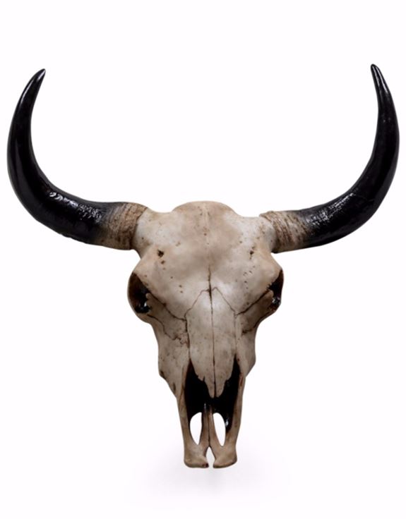 Large Bison bull wall head Resin