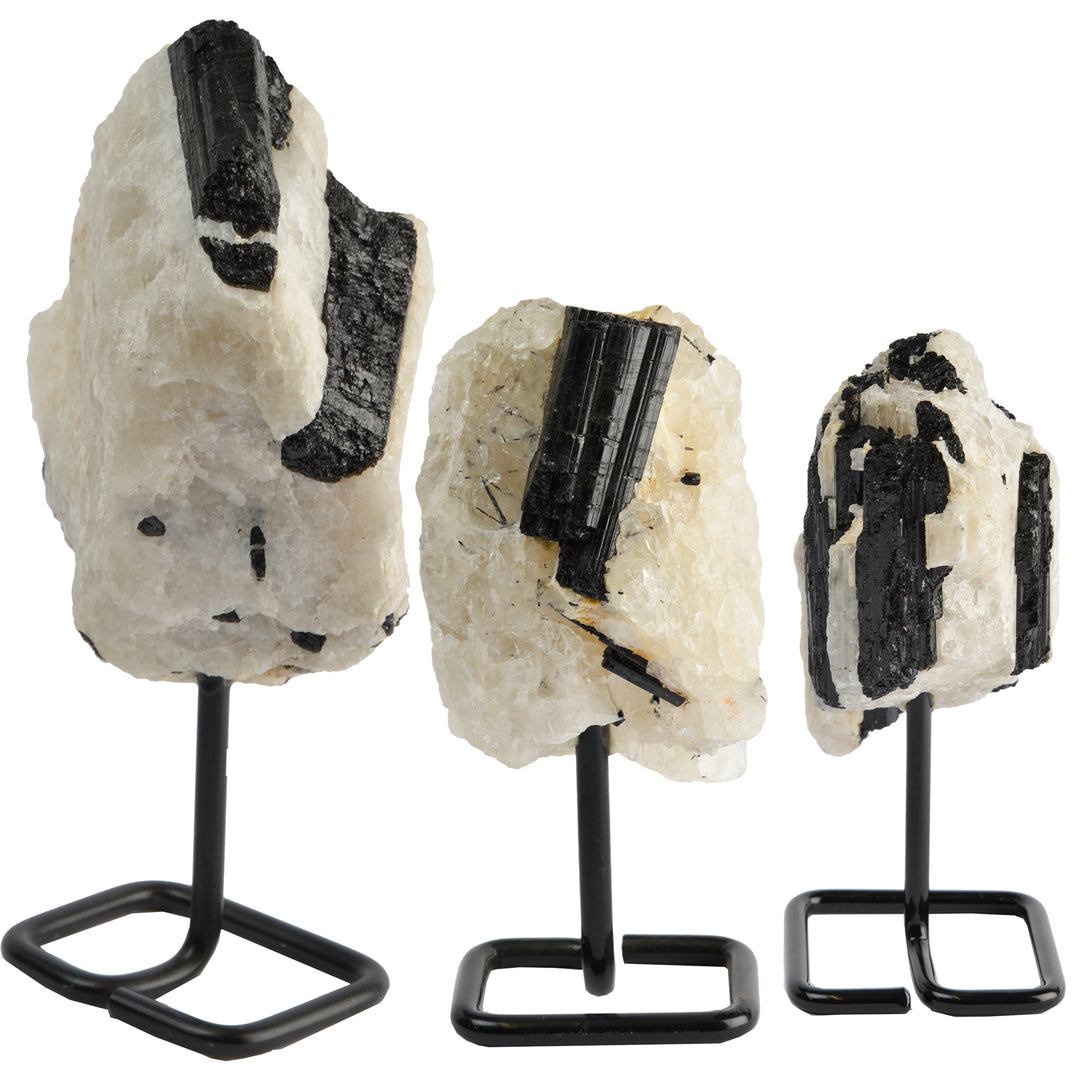Black Tourmaline on metal stand
