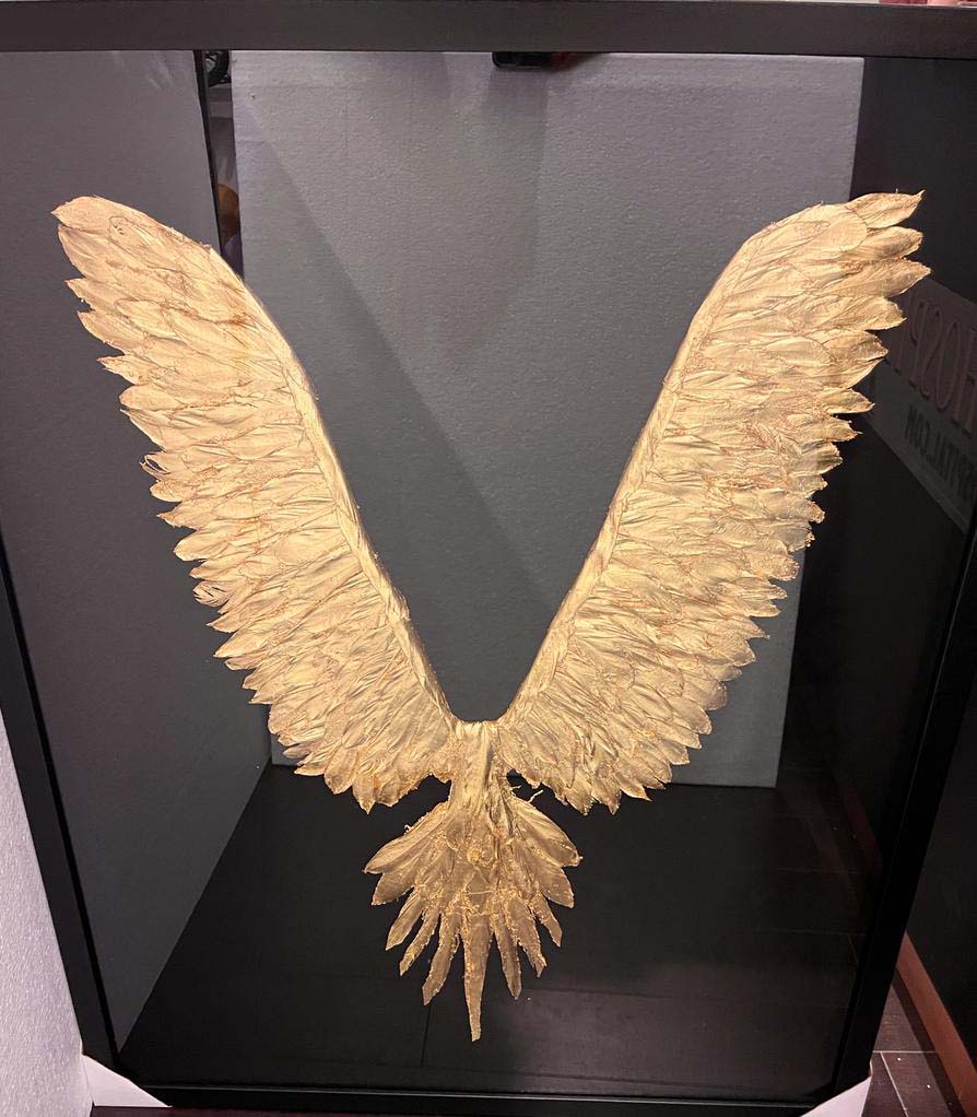 gold feather wing wall picture