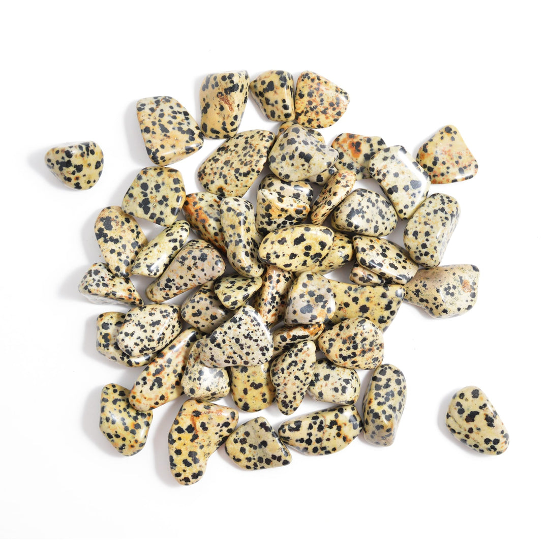 Tumble Stone – Dalmatian Jasper – Hematite – Howlite – Turqurenite – White Howlite  – Clear Quartz