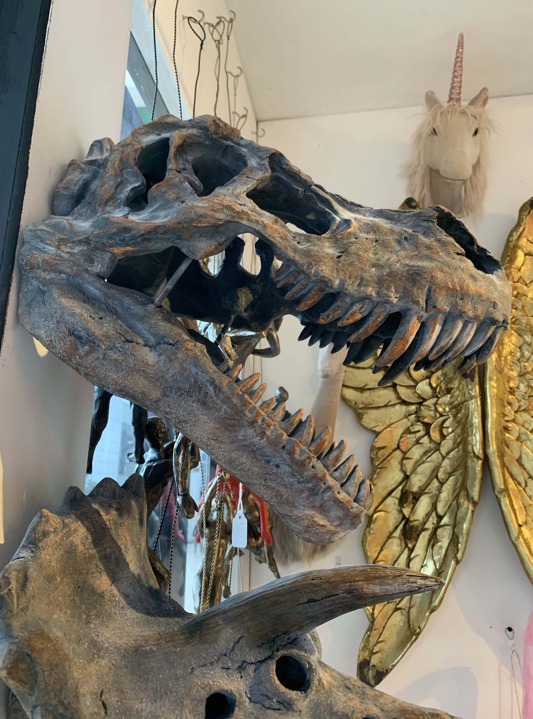 Animal heads, T Rex Wall mount