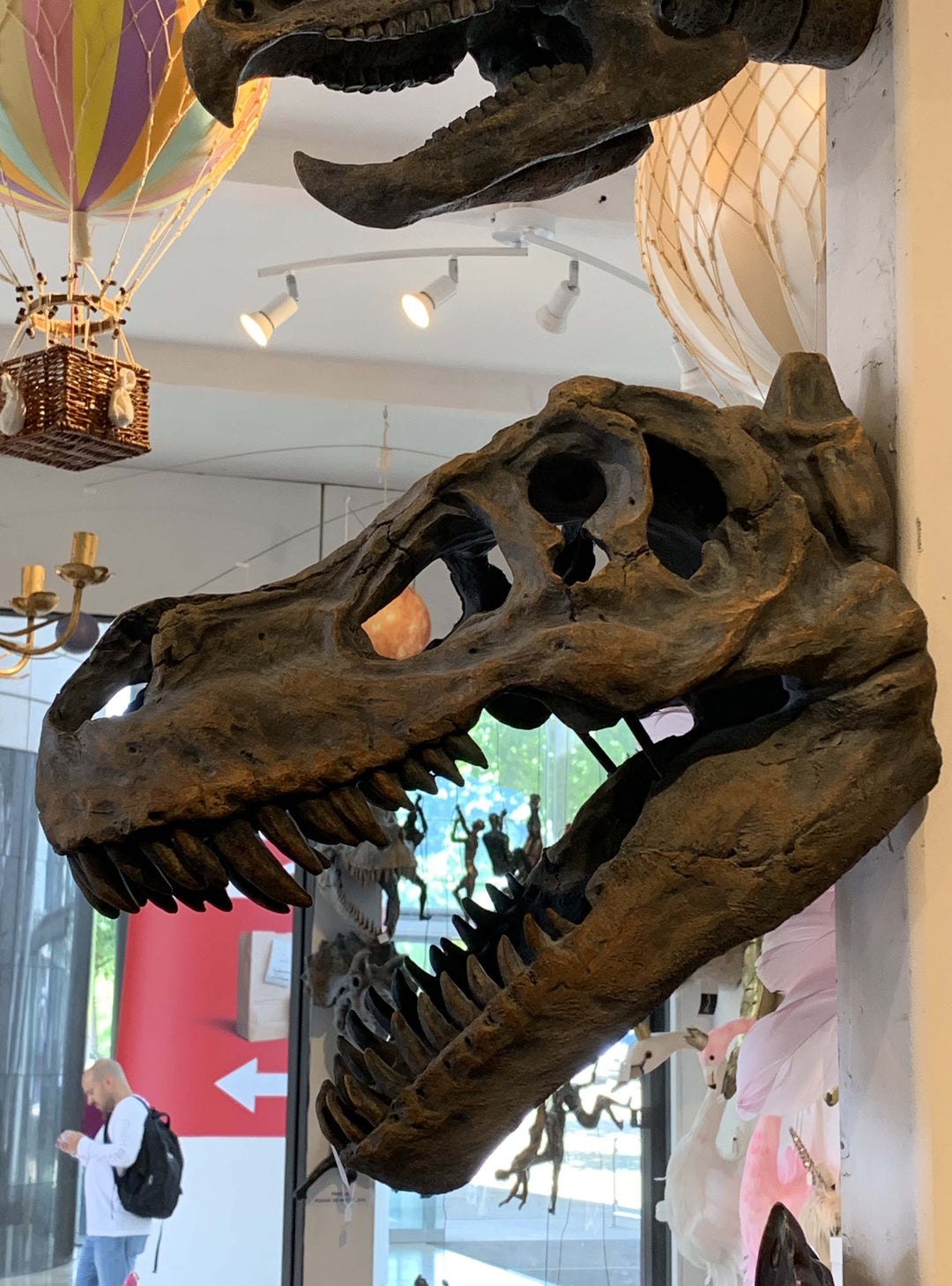 Dinosaur, T Rex, Dinosaurs Wall head 