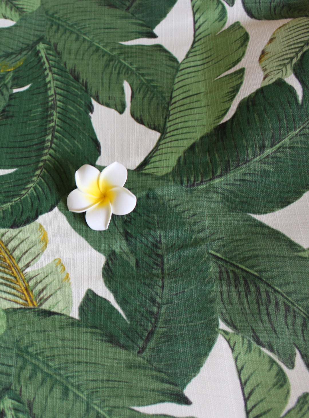 Tommy Bahama Aloe Fabric, Banana Leave Fabric, UV Protected Outdoor Textile
