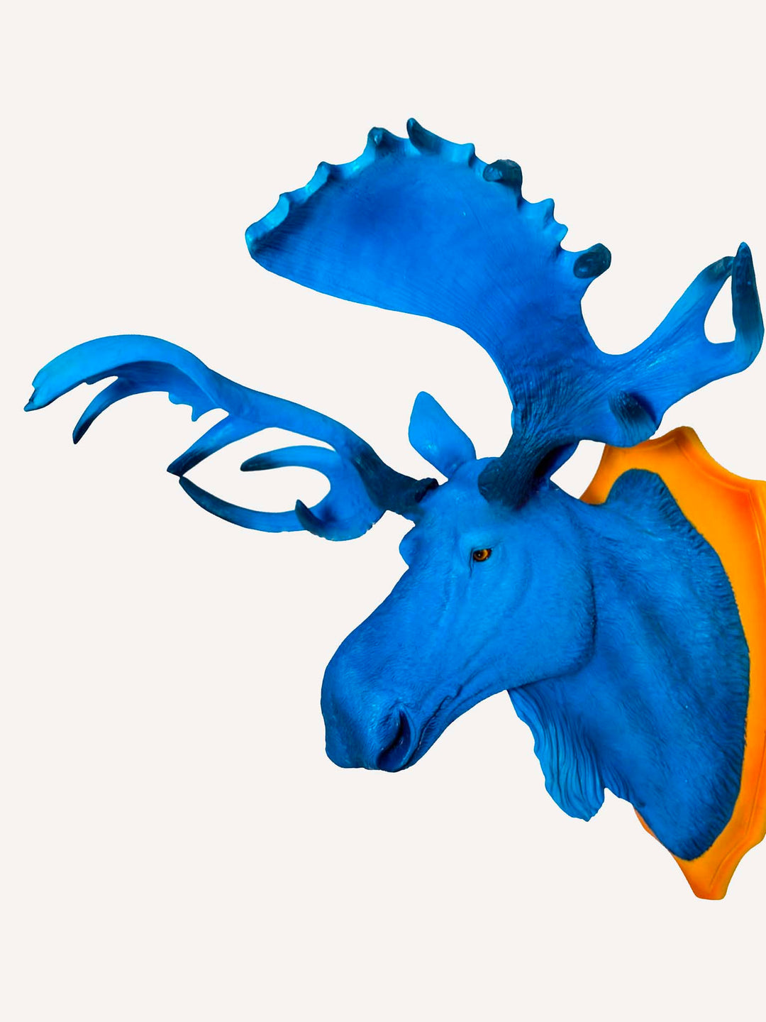 Blue moose wall head on orange plaque, ELECTRIC BLUE MOOSE WALL HEAD