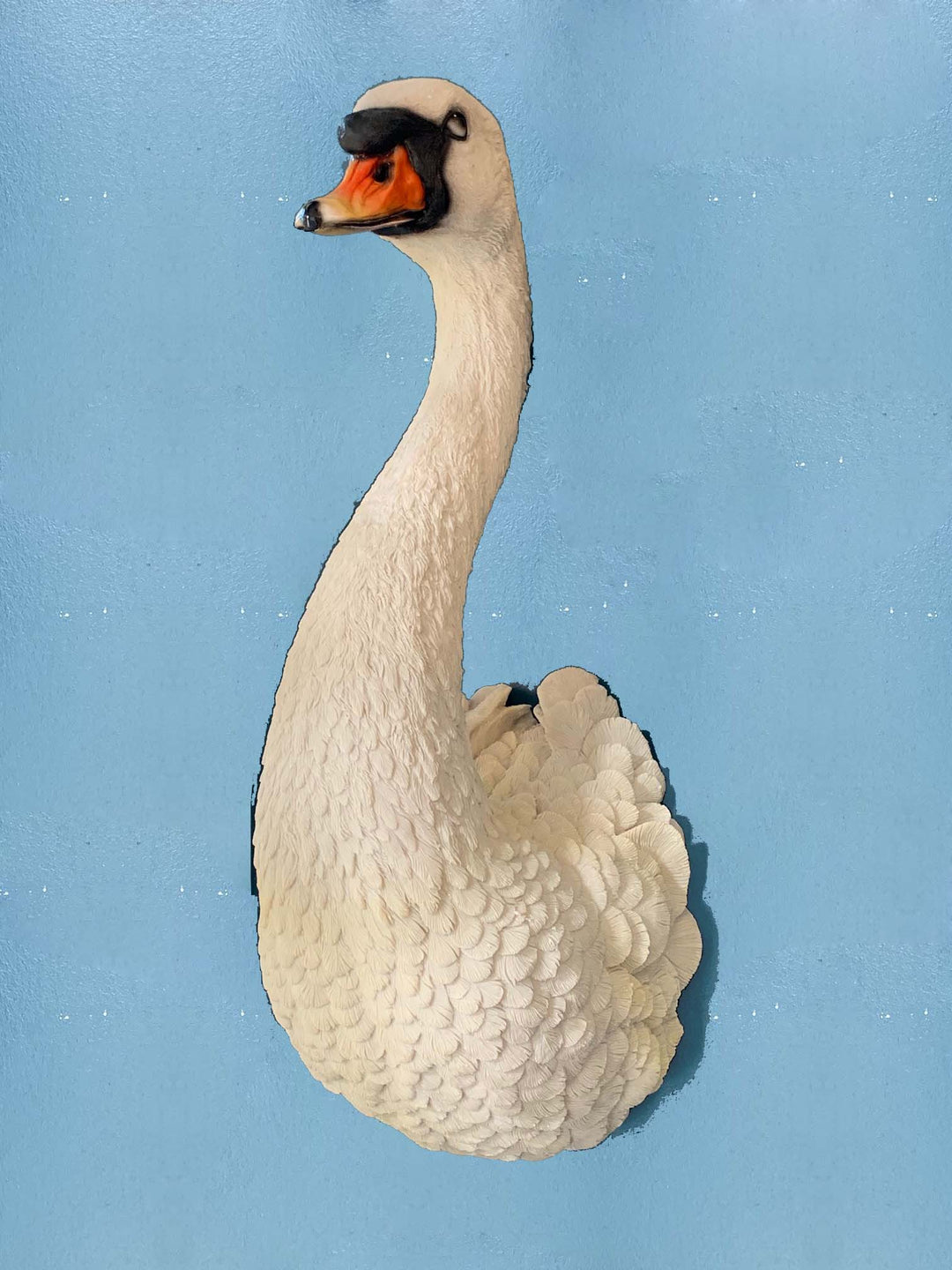 white swan wall head, White Swan 