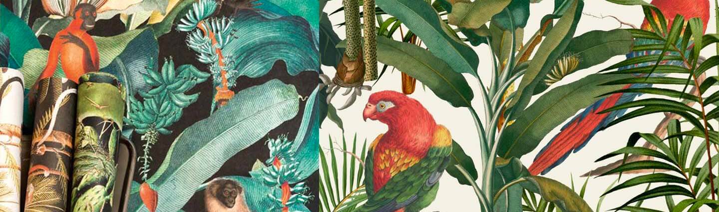 tropical-inspired home decor, Wildlife gifts, Natural wellness, Botanical décor