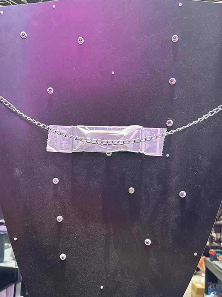 Richard the Lionheart Shield