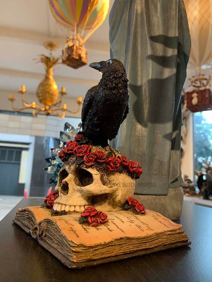 raven skull, raven on skull book
