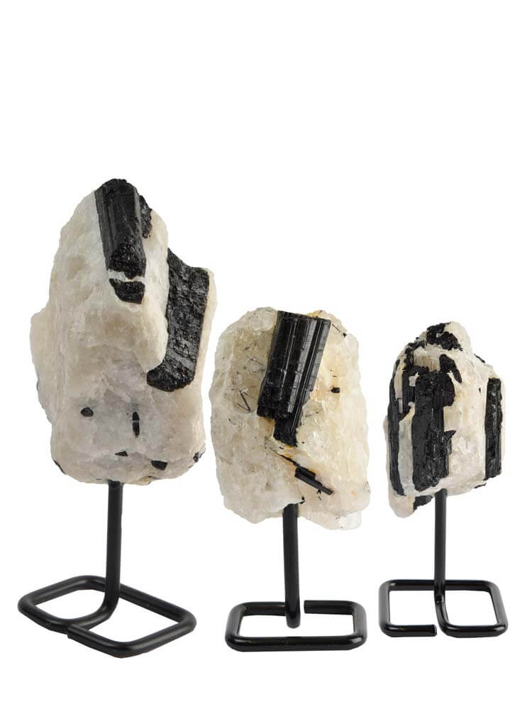 Black and White Tourmaline crystals displayed on a metal stand 
