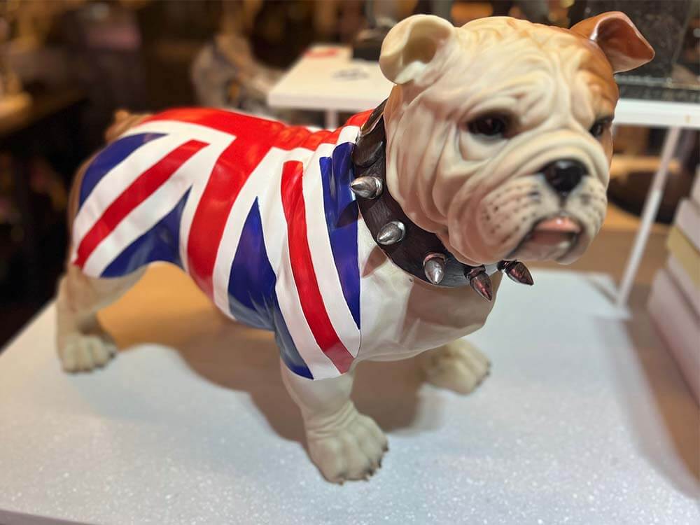 Large British Bulldog in Union Jack Coat 