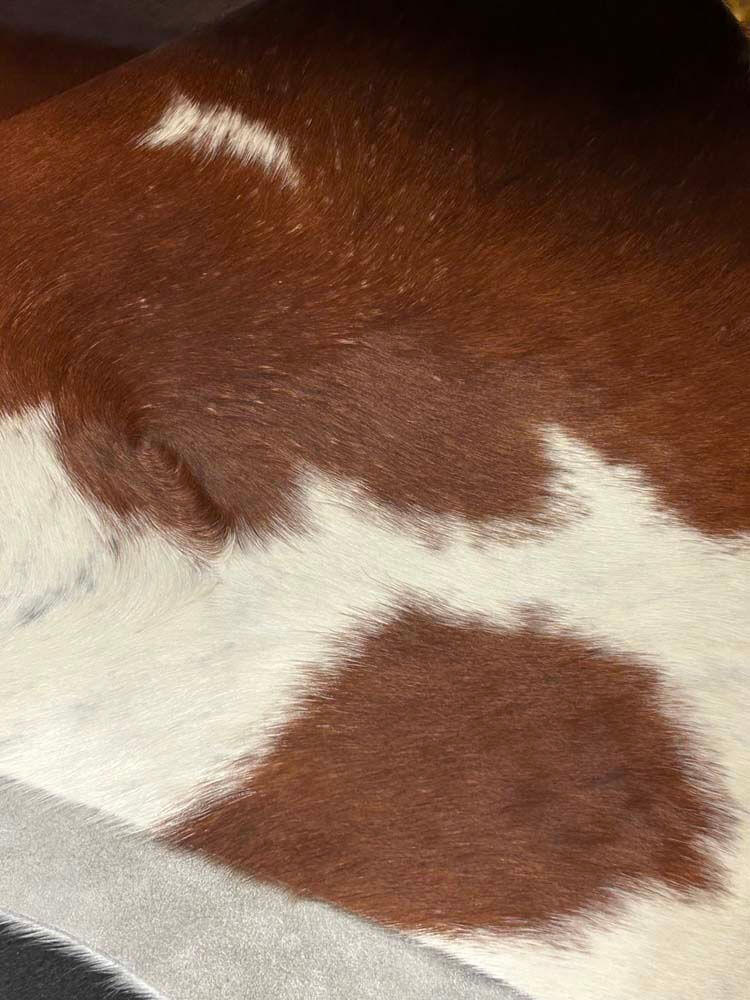 Brown, white Calf rug