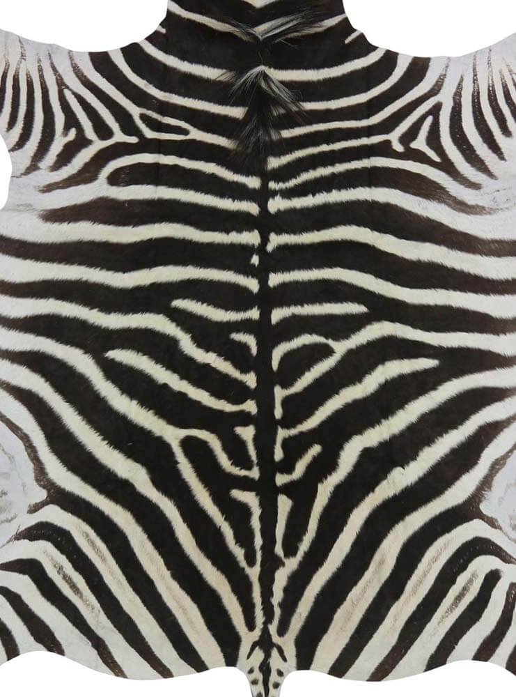 Zebra rug