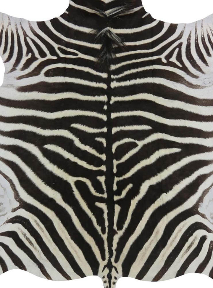 Zebra rug