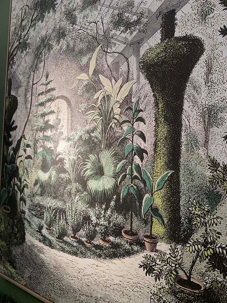 Botanical inspired wall art, outdoor garden picture, living room wall décor, canvas wall pictures, framed dining room artwork, conservatory canvas wall art, Eden Garden brown framed picture.