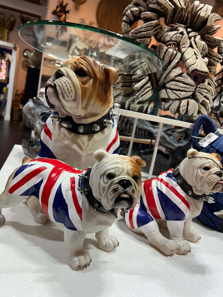 English Bulldogs in Union Jack coat 