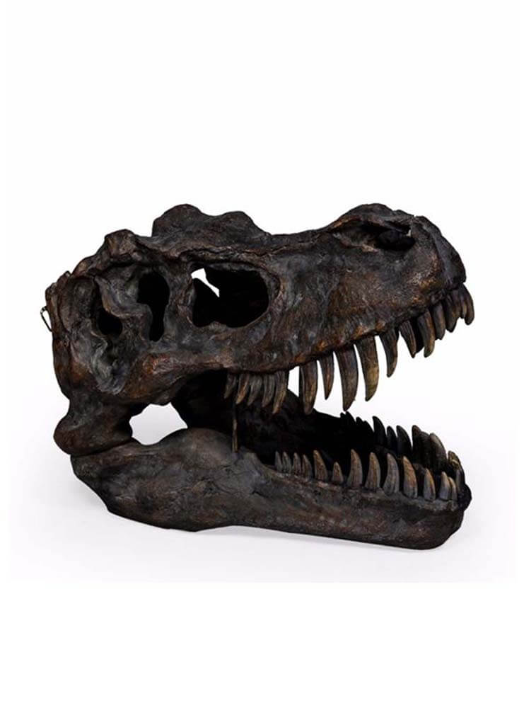 Dinosaur skull, Large T Rex figurine