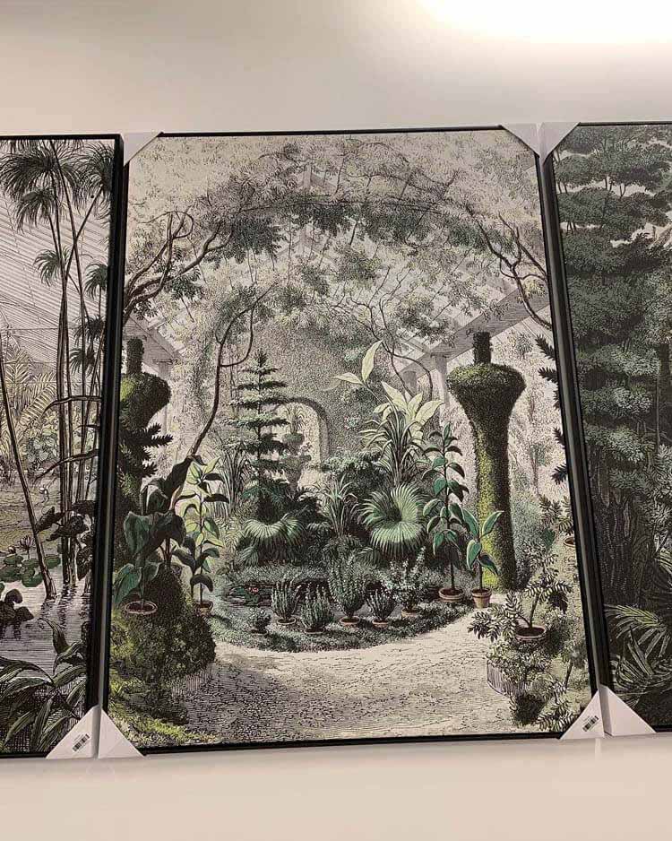 Outdoor garden framed canvas featuring a greenhouse botanical scene. Elegant wall art for conservatory, garden room or nature-inspired interiors.