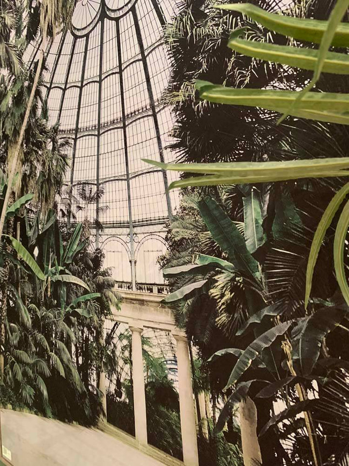 Tropical garden palm tree wall art framed canvas. Beautiful outdoor garden picture for conservatory.