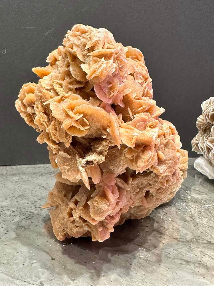 Gypsum Rose, Baryte Rose, brown crystal similar to Coral 