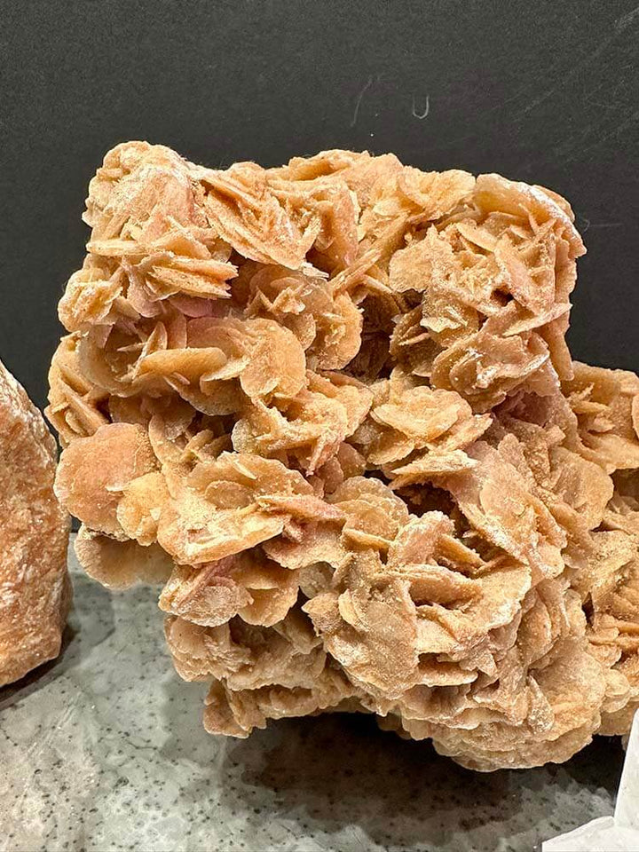 Gypsum Rose, Baryte Rose, brown crystal similar to Coral formation 