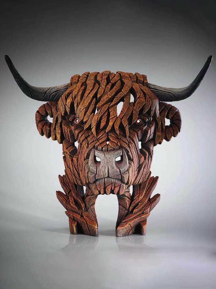 longhorn cow skull, highland cow