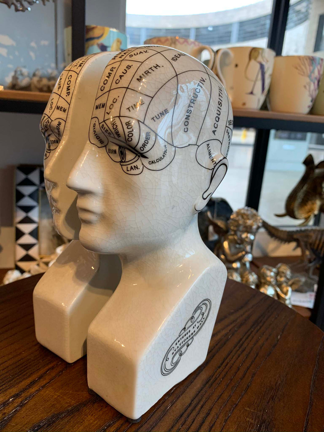 Pair of antique phrenology head bookends