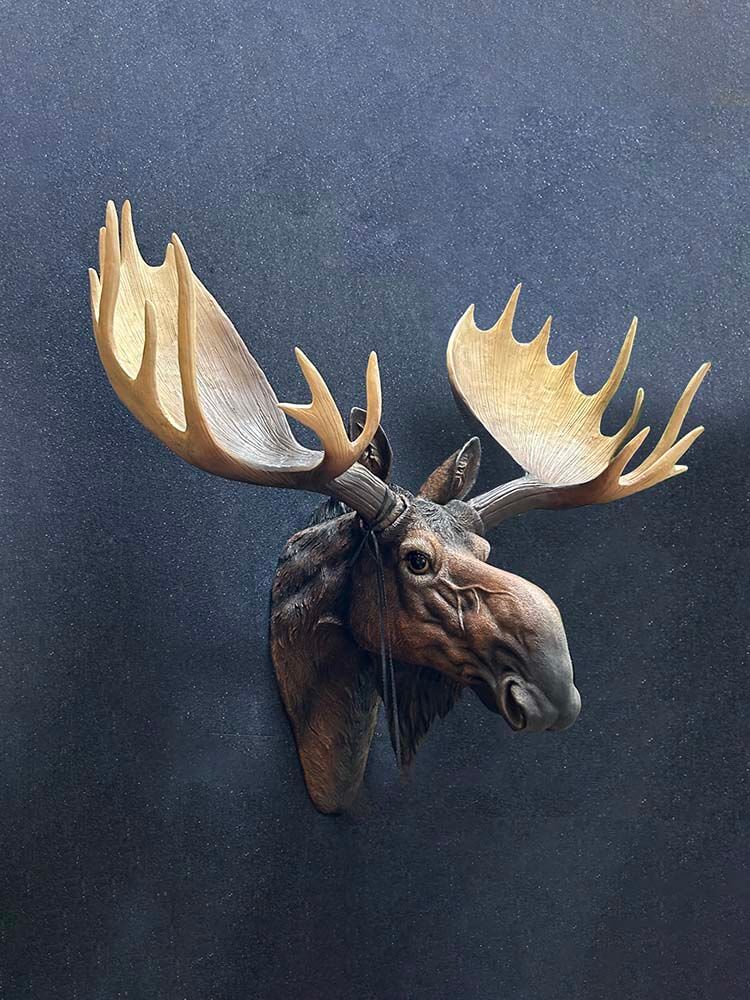Large Moose Wall Head, Stag head, Moose Head Wall Mount
