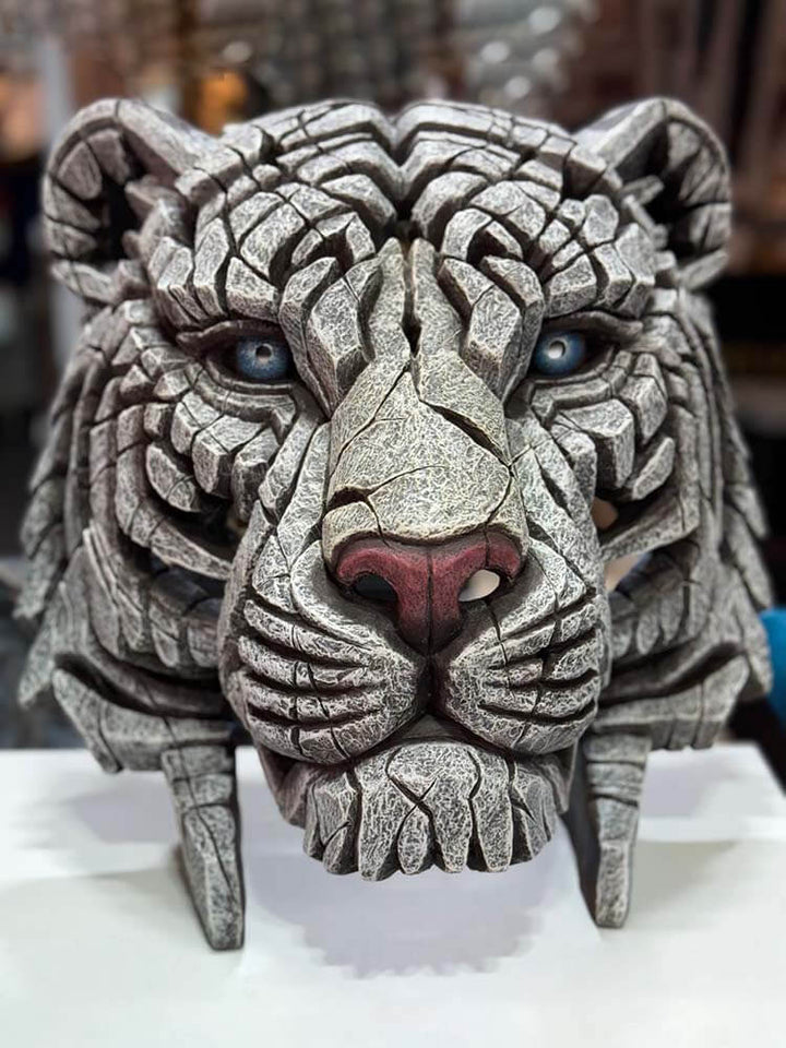 tiger head large white tiger