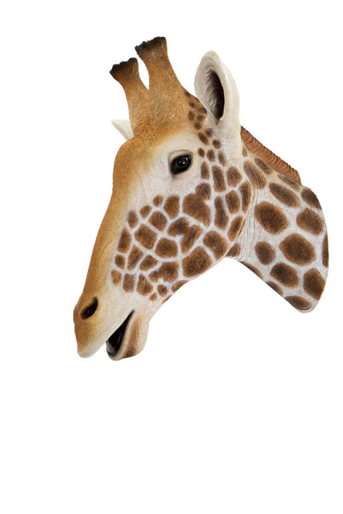 Large Giraffe Head Wall Decoration, Safari Animal Wall Mount, 50cm