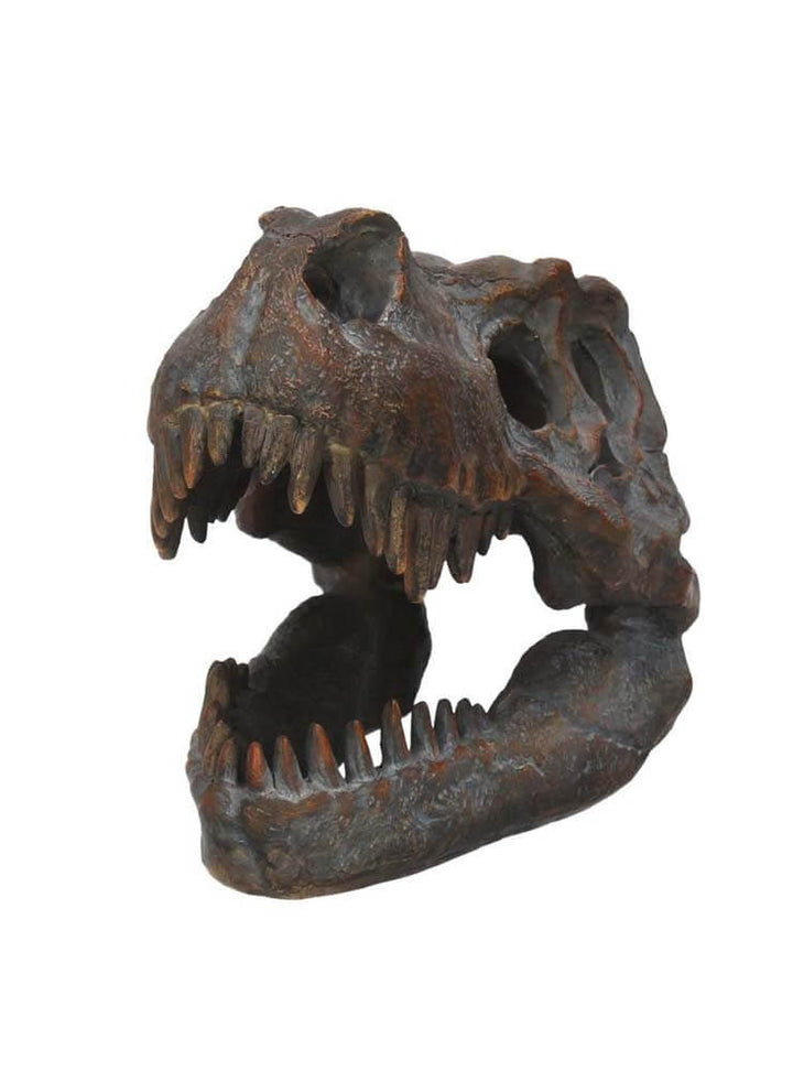 Large Dinosaur Head Skull Wall Mount