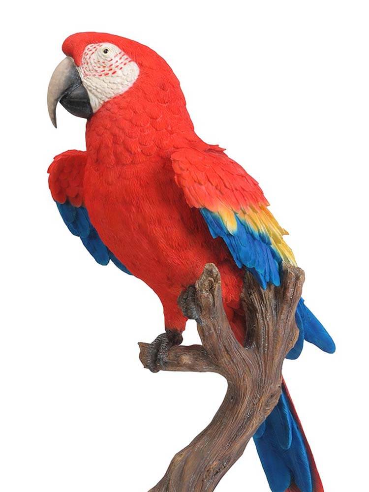 Colourful parrot perched on a branch