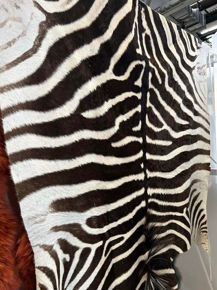 Burchell_zebra_natural_skin_rug