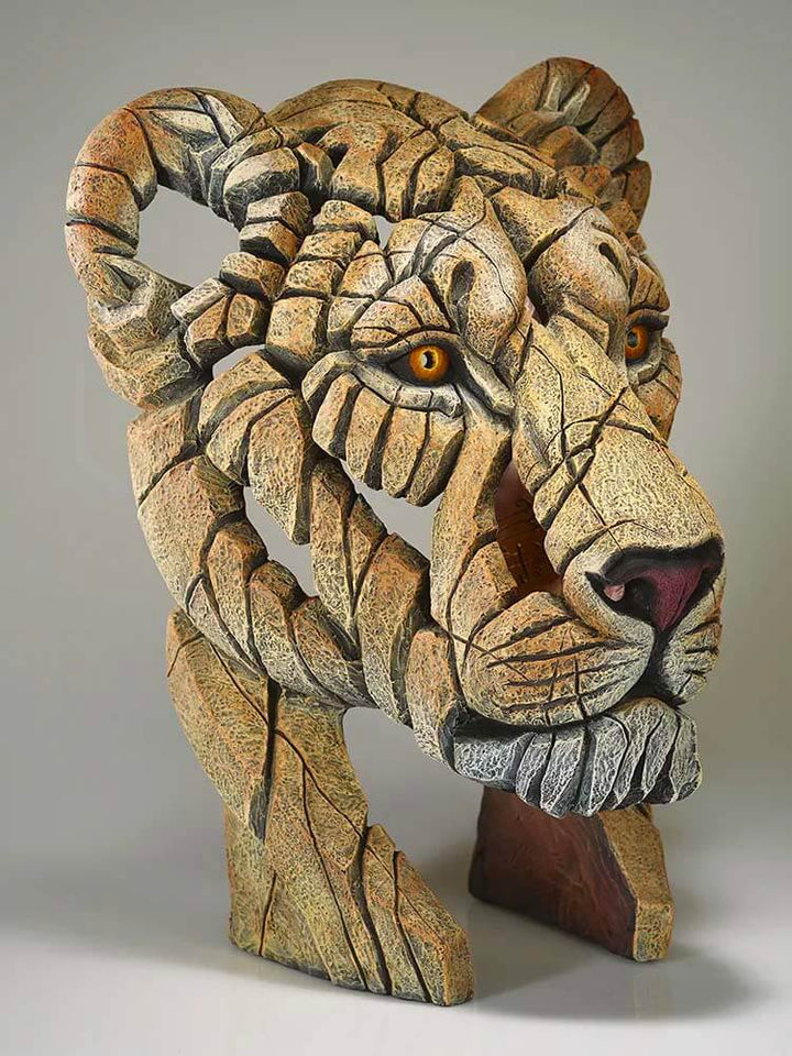 Yuna the Lioness statue, The Big Cat Sanctuary lions and lioness, Edge sculpture by The Dutch Hospital
