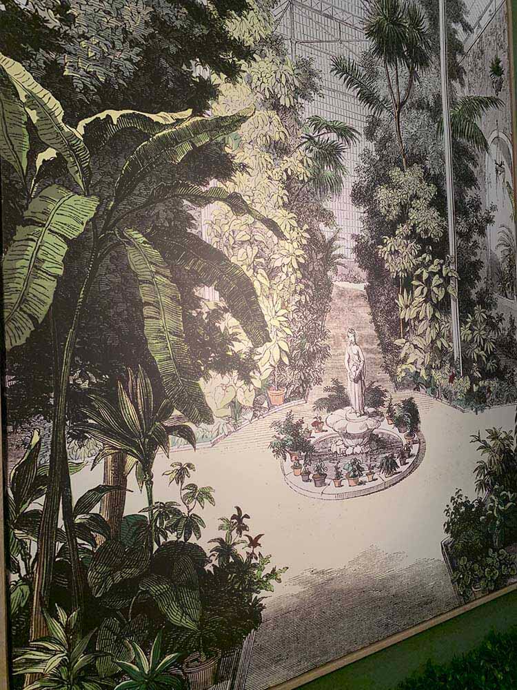 Framed wall art featuring a tropical garden with palm trees.