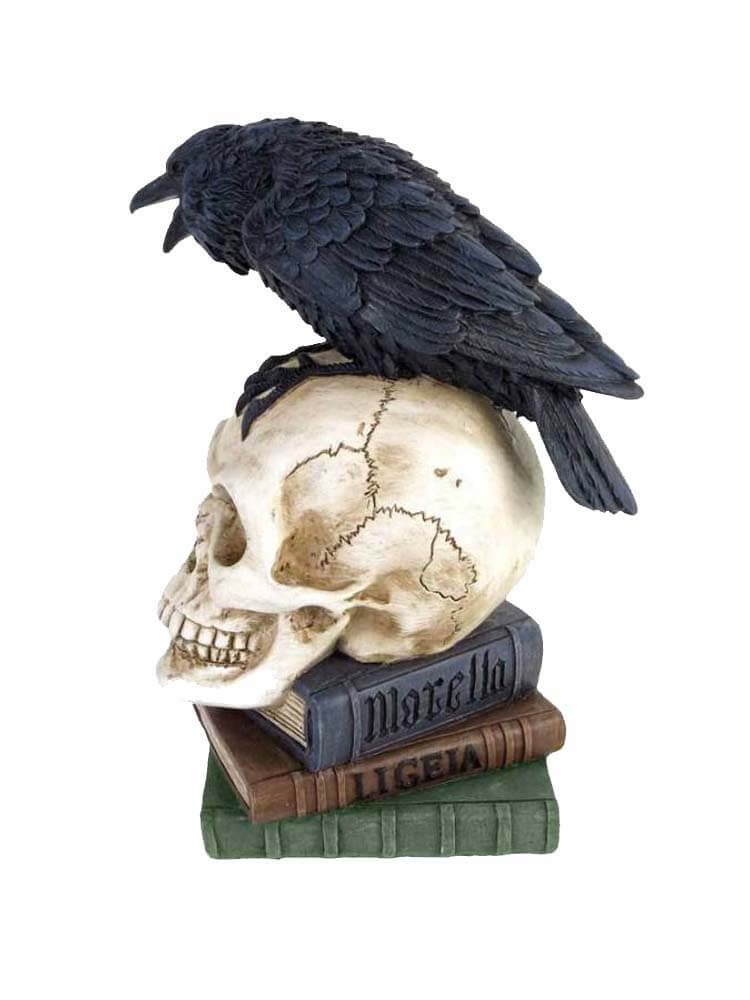 Black Raven on Human Skull & books
