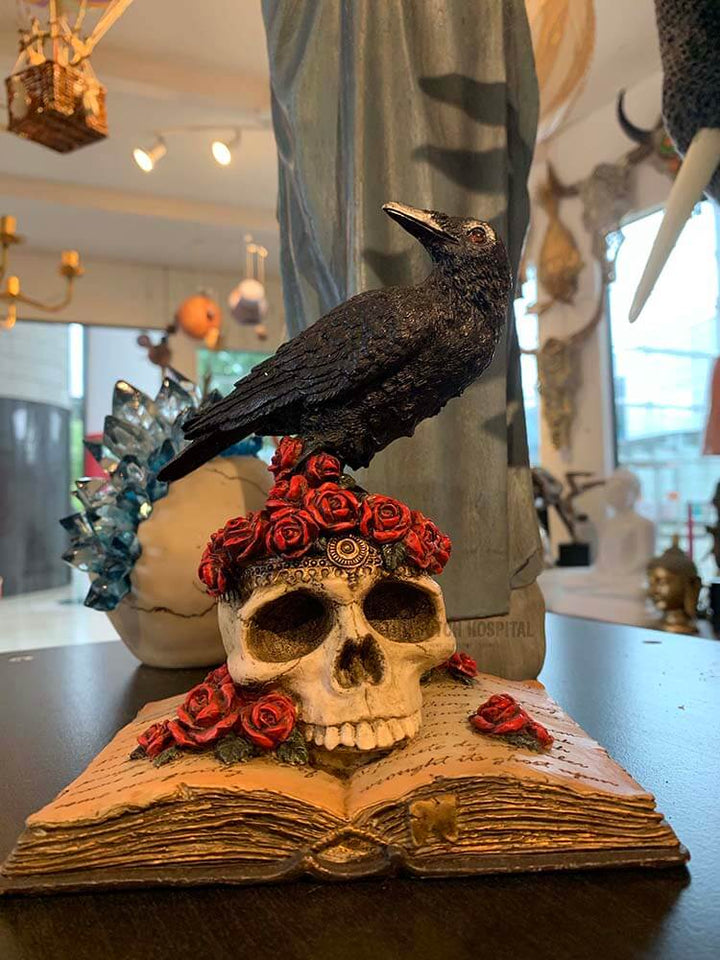 Raven skull, black raven skull book, skull book