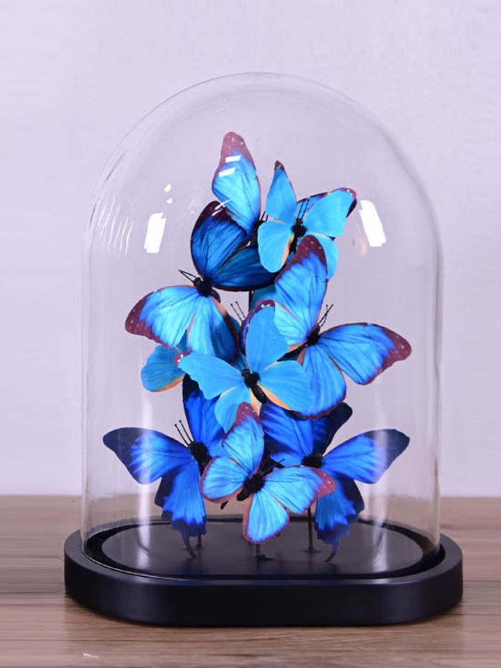 blue butterfly, butterflies, glass dome, butterfly dome, decorative glass dome, 