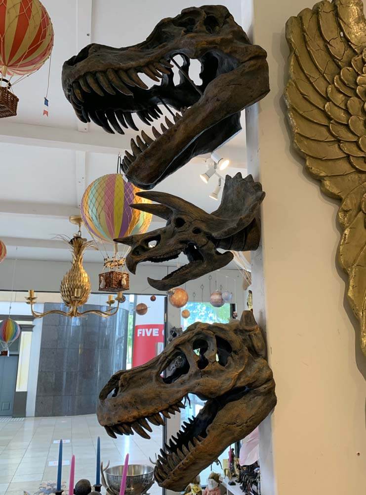 T-Rex Head, Dinosaur Head Skull