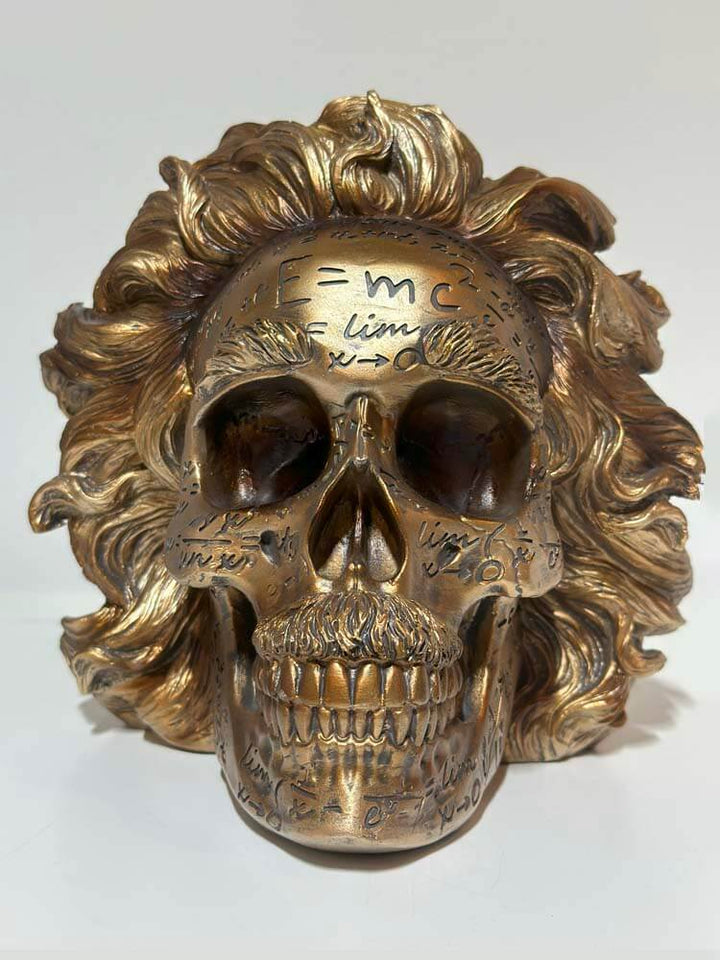 Einstein 's Theory of Relativity Bronze Skull