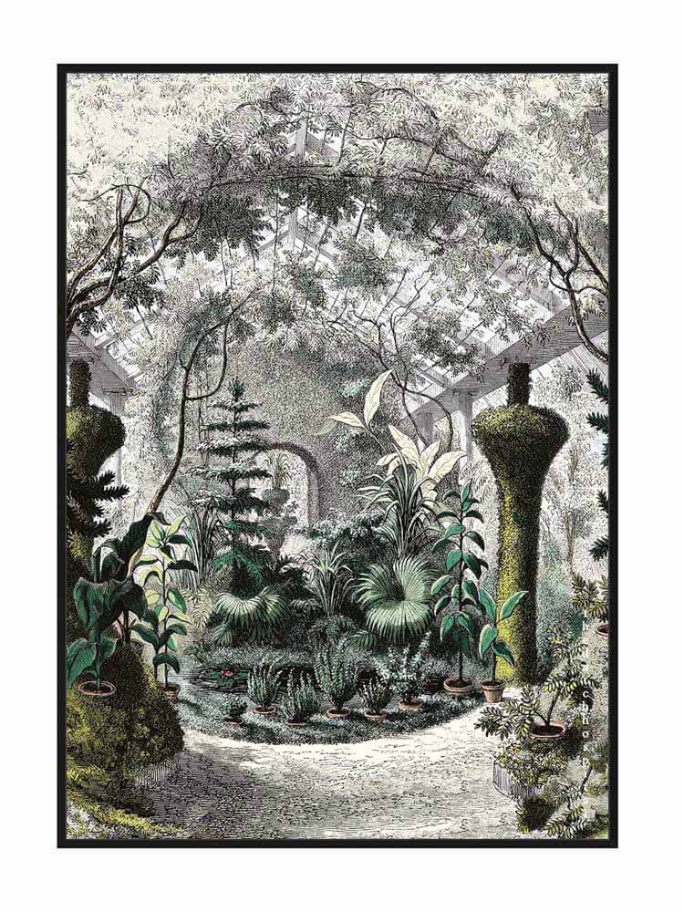 Outdoor garden framed canvas with greenhouse botanical wall art.