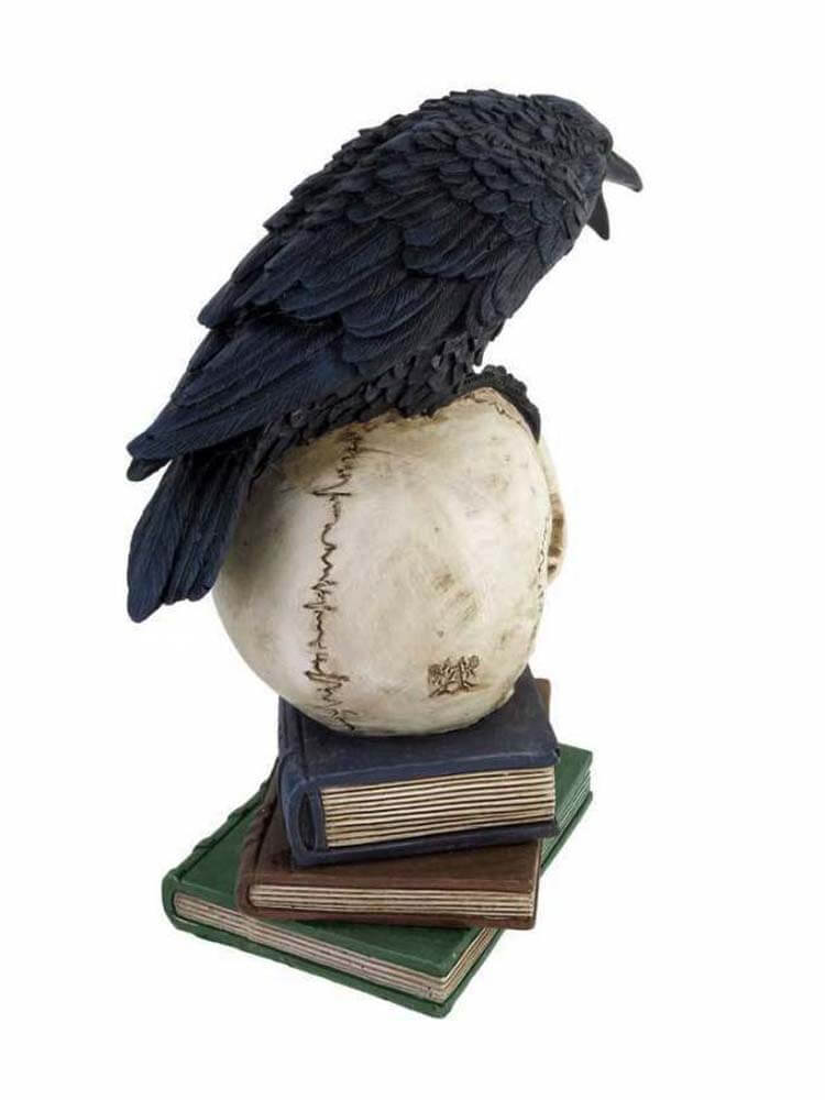 Poe's Raven Black 'Nevermore' on skull book