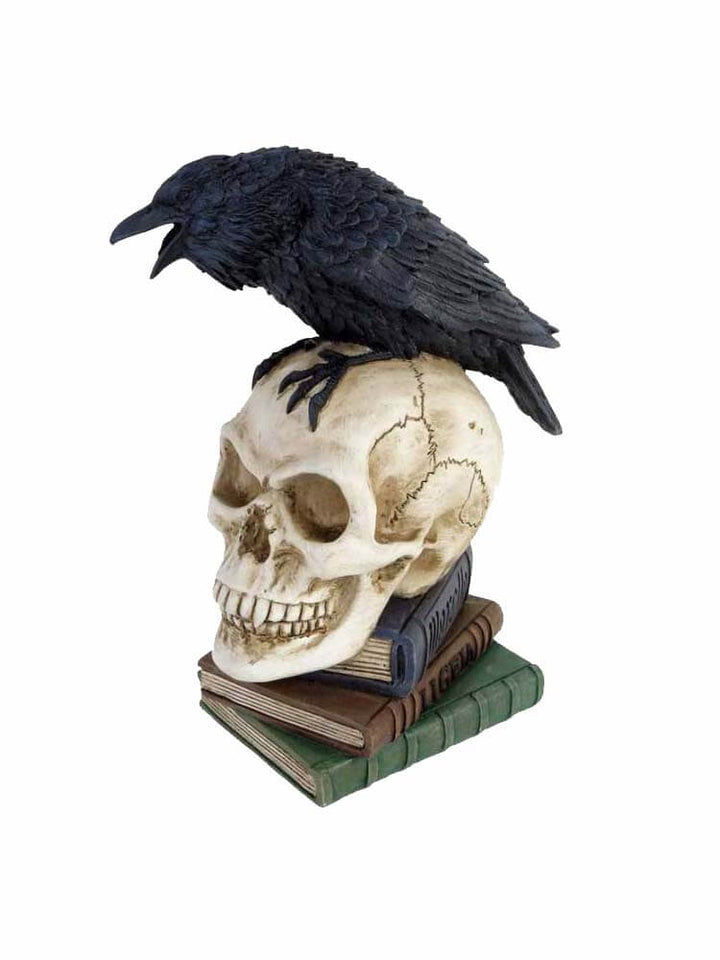 black raven figurine, book skull ornament 