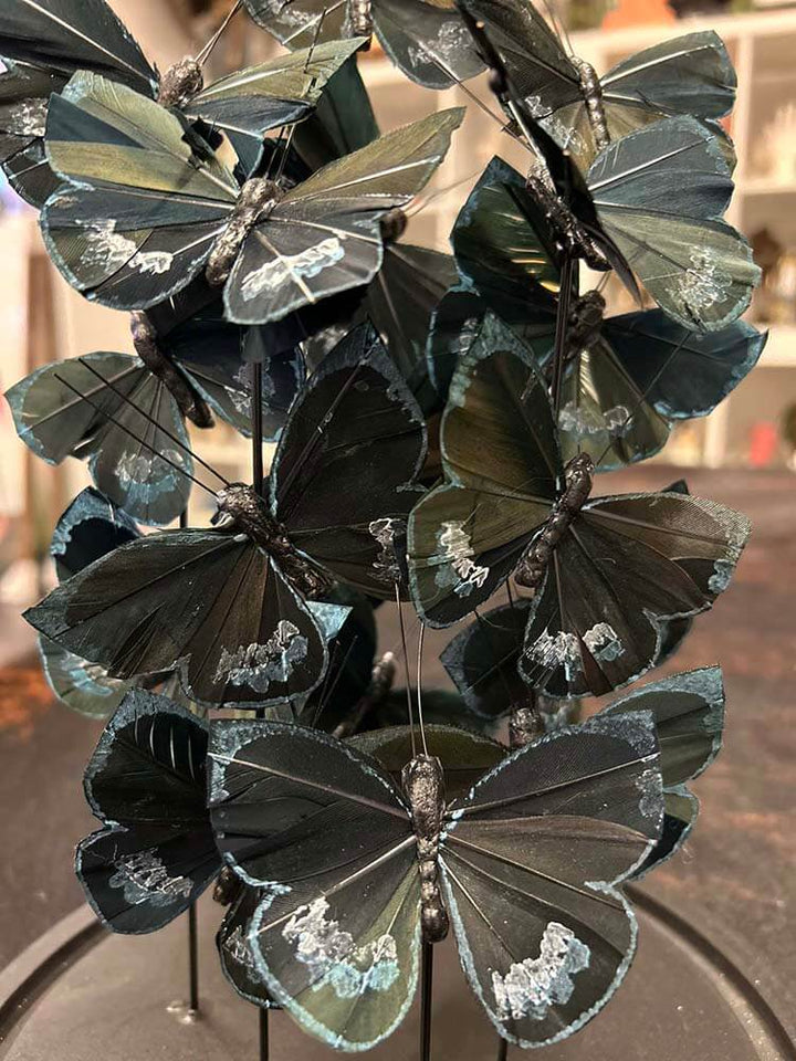 Butterfly dome, Beautiful faux butterflies in glass dome, Butterfly Garden home decor, table top glass dome decoration,  Decorate your home with butterfly themed décor, Beautiful faux butterflies in glass dome (artificial butterflies) ,  Painted in black & blue finish, black and blue butterflies, Morpho butterfly, tropical butterflies, butterfly dome 